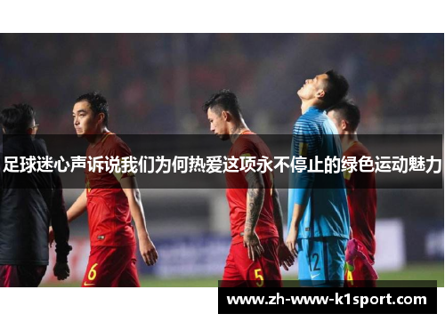 足球迷心声诉说我们为何热爱这项永不停止的绿色运动魅力